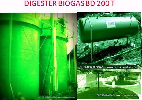 BD 200 T 1